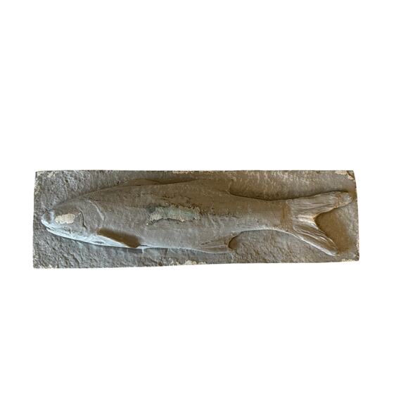 Large Fish Wall Hanging Coastal Marine Lake Cottage Cabin Decor 12” Heavy - Picture 12 of 15